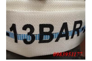 Vòi chữa cháy PVC D50-13BAR+Khớp nối Ø50